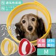 画像1: 【ポイント10倍で会員様はお得】  ロングメッシュエリザベスカラ― ベル型 面ファスナー留め 【M】 (1)