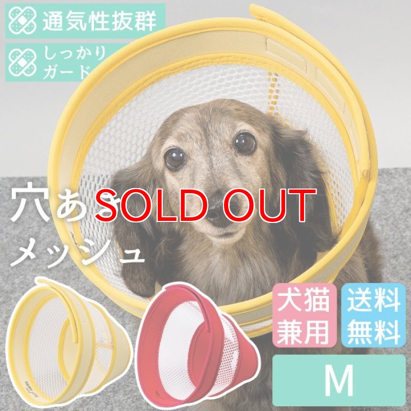 画像1: 【ポイント10倍で会員様はお得】  ロングメッシュエリザベスカラ― ベル型 面ファスナー留め 【M】 (1)