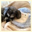 画像13: 【ポイント10倍で会員様はお得】 繰り返し使える 簡単加熱の犬猫用湯たんぽ ハリネズミ 【M・L】ふんわりと暖かく寒い冬も安心 有害なエチレングリコール不使用 加熱材本体は日本製なので安心 (13)