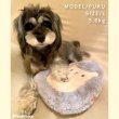 画像14: 【ポイント10倍で会員様はお得】 繰り返し使える 簡単加熱の犬猫用湯たんぽ ハリネズミ 【M・L】ふんわりと暖かく寒い冬も安心 有害なエチレングリコール不使用 加熱材本体は日本製なので安心 (14)