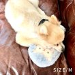 画像16: 【ポイント10倍で会員様はお得】 繰り返し使える 簡単加熱の犬猫用湯たんぽ ハリネズミ 【M・L】ふんわりと暖かく寒い冬も安心 有害なエチレングリコール不使用 加熱材本体は日本製なので安心 (16)