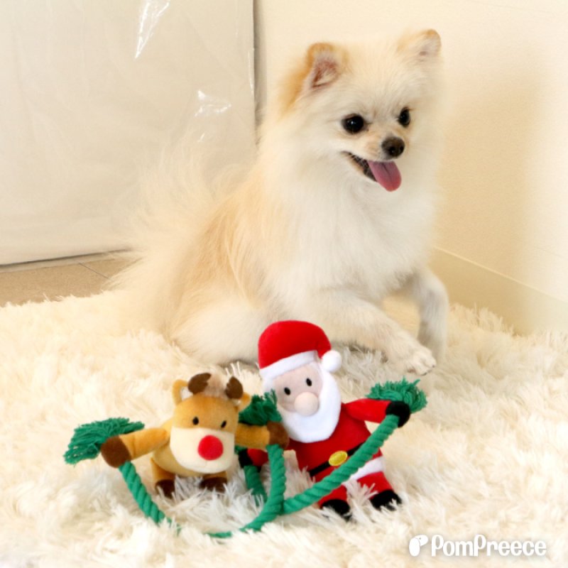 画像5: デンタルロープTOY PeePee クリスマスポップ (5)