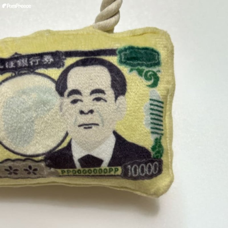 画像7: デンタルロープTOY PeePee KASAKASA お札 (7)