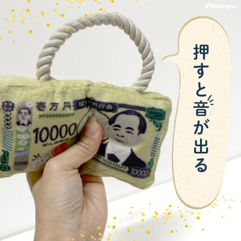 画像3: デンタルロープTOY PeePee KASAKASA お札 (3)