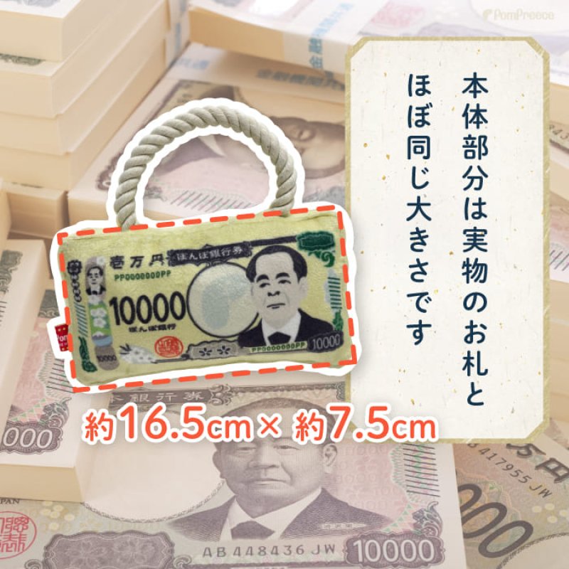 画像4: デンタルロープTOY PeePee KASAKASA お札 (4)