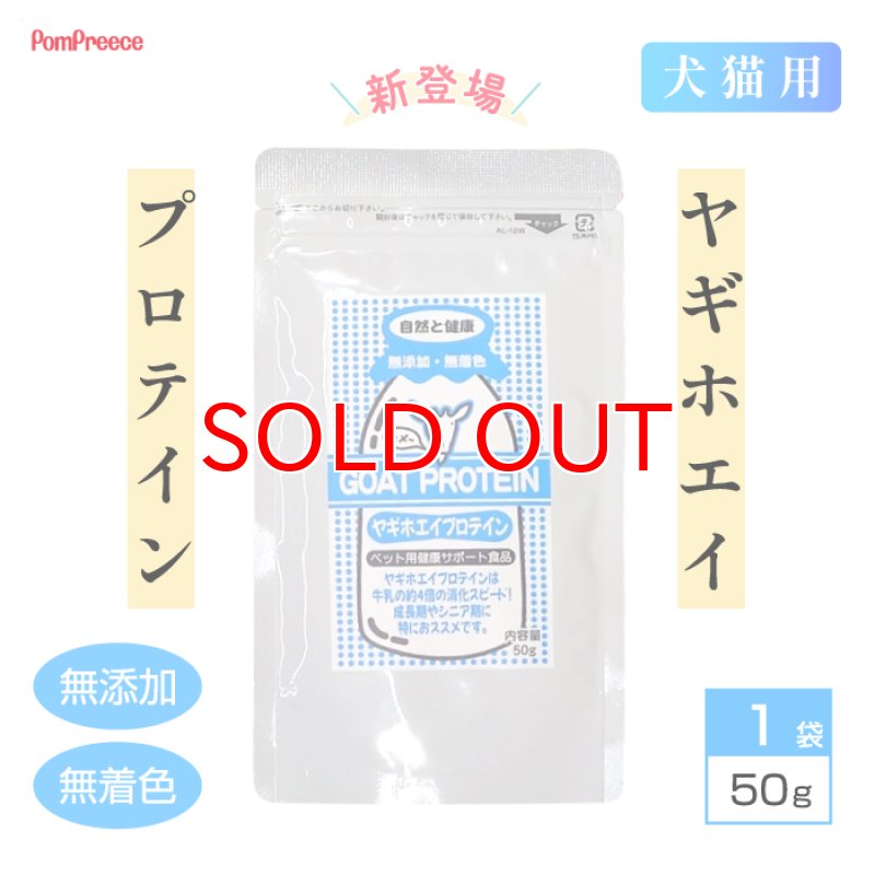 画像1: [オランダ産] 犬猫用 ヤギホエイプロテイン 50g [賞味期限：2026.11.13] (1)