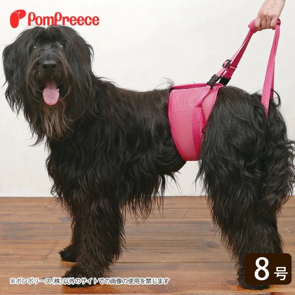 画像1: 【在庫処分セール品】中・大型犬用後足用ヘルプパンツ ハッピーメッシュ 【8号】ブルーのみ※返品交換不可 (1)