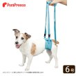 画像1: 【在庫処分セール品】後足用ヘルプパンツ ハッピーメッシュ 【6号】ピンクのみ※返品交換不可 (1)