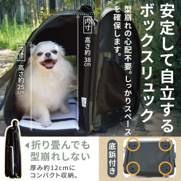 画像13: 【ポイント10倍で会員様はお得】 犬・猫用ペットキャリー  3WAYタッチインリュック パノラマビュ― ランドキャリ―（5536-5538） (13)