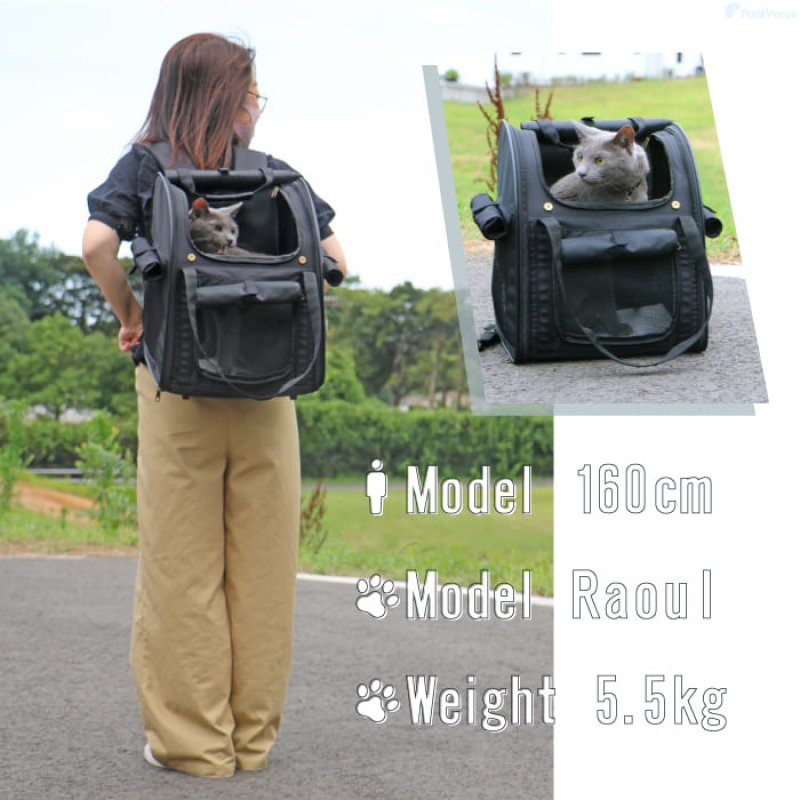 画像19: 犬猫兼用ペットキャリー  3WAYタッチインリュック パノラマビュ― ランドキャリ― (19)