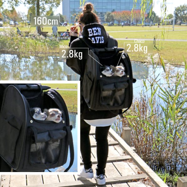 画像18: 【ポイント10倍で会員様はお得】 犬・猫用ペットキャリー  3WAYタッチインリュック パノラマビュ― ランドキャリ―（5536-5538） (18)