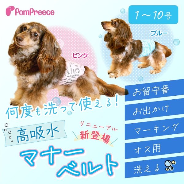 画像1: 【ポイント10倍で会員様はお得】犬用オムツ パッド不要 洗って使える布製マナーベルト【1〜10号】 (1)