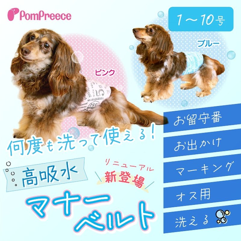 画像1: 【ポイント10倍で会員様はお得】高吸水マナーベルト（マナーパッド不要モデル）【1〜10号】 (1)