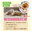 画像4: 【ポイント10倍で会員様はお得】  ロングブリリアントエリザベスカラー フェアオーガニック【3S〜5号】 (4)