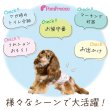 画像5: 【ポイント10倍で会員様はお得】高吸水マナーベルト（マナーパッド不要モデル）【1〜10号】 (5)