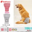 画像1: 中型・大型犬用 ベルト型 サニタリーパンツ 水玉 【6・7号】 ※50%OFF [返品交換不可] (1)