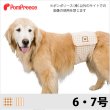 画像1: 中型・大型犬用 マナーベルト フェアオーガニック 【6・7号ボーダーのみ】 ※50%OFF [返品交換不可] (1)