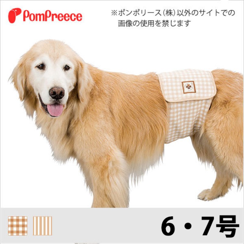 画像1: 中型・大型犬用 マナーベルト フェアオーガニック 【6・7号ボーダーのみ】 ※50%OFF [返品交換不可] (1)