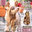 画像1: 【クリアランスセール】ハッピートナカイコート 犬猫兼用 【1〜5号】※返品交換不可 (1)