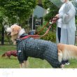 画像16: 【ポイント10倍で会員様はお得】犬用 レインコート  撥水 防水 耐水 テフロン加工 PUコーティング 両足付レインコー タータンチェック  【2〜12号】 (16)