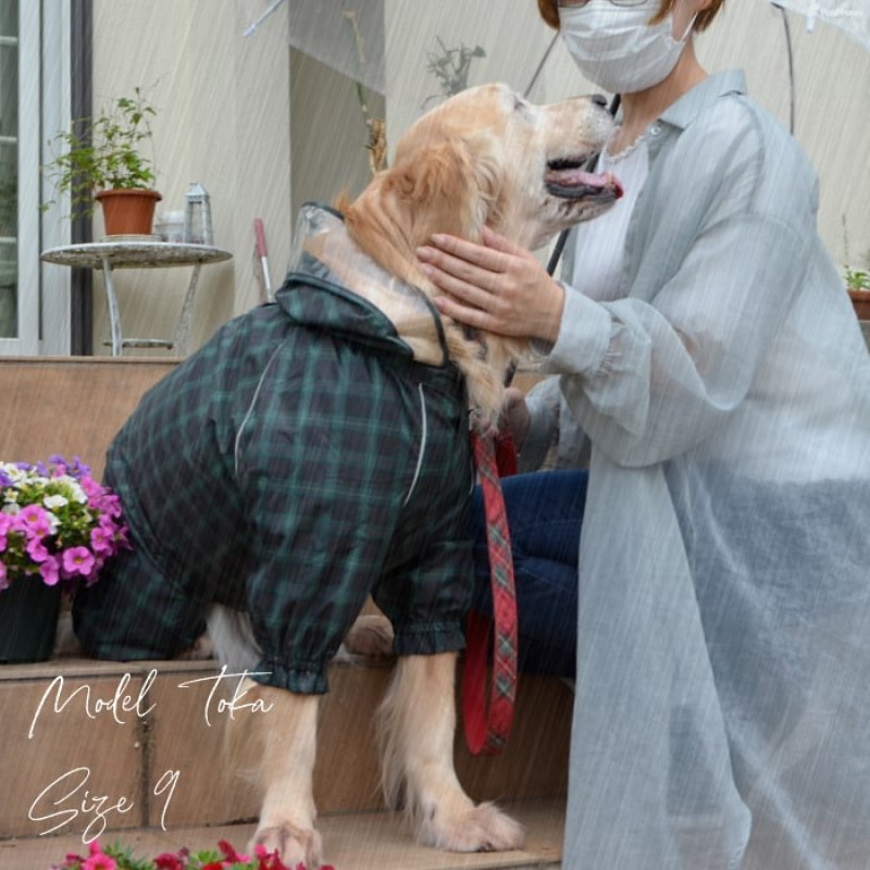 画像15: 犬用 レインコート  撥水 防水 耐水 テフロン加工 PUコーティング 両足付レインコー タータンチェック  【2〜12号】 (15)