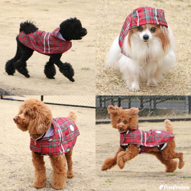 画像2: 犬用 レインコート 雨具 カッパ 全身 撥水 防水 耐水 テフロン加工 2タッチレインコート【2〜12号】 (2)