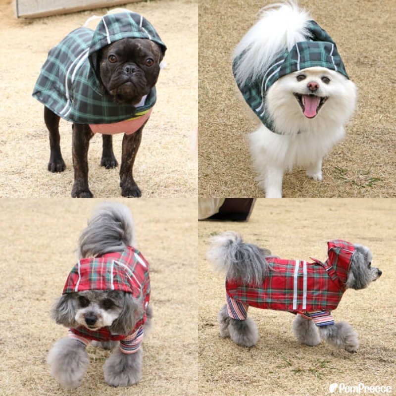 画像3: 犬用 レインコート 雨具 カッパ 全身 撥水 防水 耐水 テフロン加工 2タッチレインコート【2〜12号】 (3)