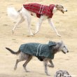 画像4: 【ポイント10倍で会員様はお得】 犬用 レインコート 雨具 カッパ 全身 撥水 防水 耐水 テフロン加工 2タッチレインコート【2〜12号】 (4)