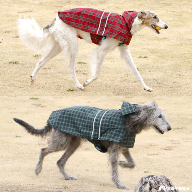 画像4: 犬用 レインコート 雨具 カッパ 全身 撥水 防水 耐水 テフロン加工 2タッチレインコート【2〜12号】 (4)