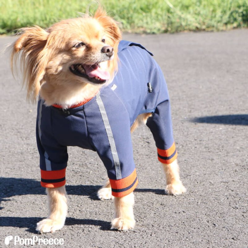 画像6: 【在庫処分セール品】 犬用 ウォームレインコート 【3〜10号】　※返品交換不可 (6)