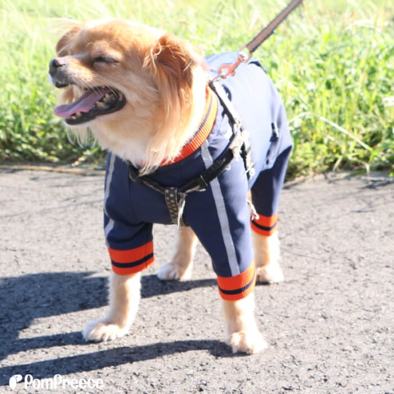 画像7: 【在庫処分セール品】 犬用 ウォームレインコート 【3〜10号】　※返品交換不可 (7)