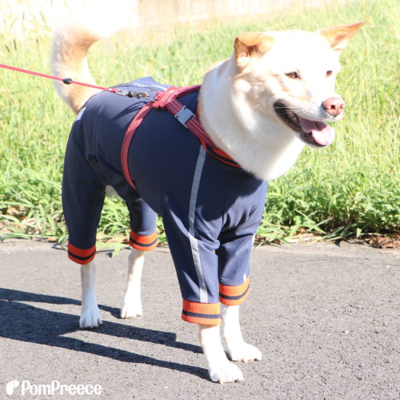 画像8: 【在庫処分セール品】 犬用 ウォームレインコート 【3〜10号】　※返品交換不可 (8)