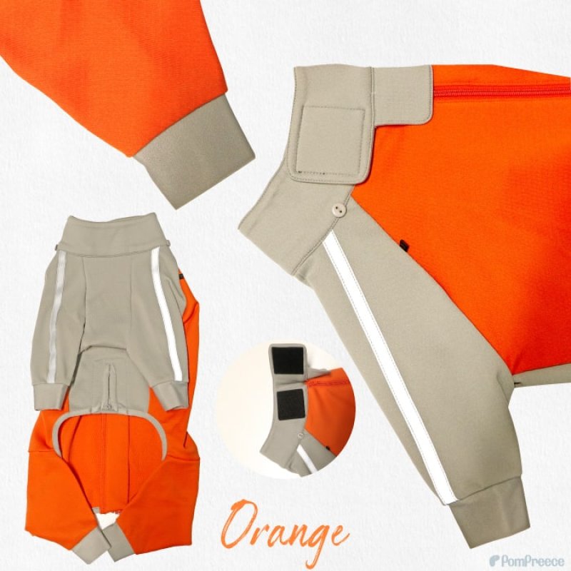 画像15: 【在庫処分セール品】  中型・大型犬用 アウトドア・レジャーフード付 スーパーストレッチコート 【6〜10号】 ※返品交換不可 (15)