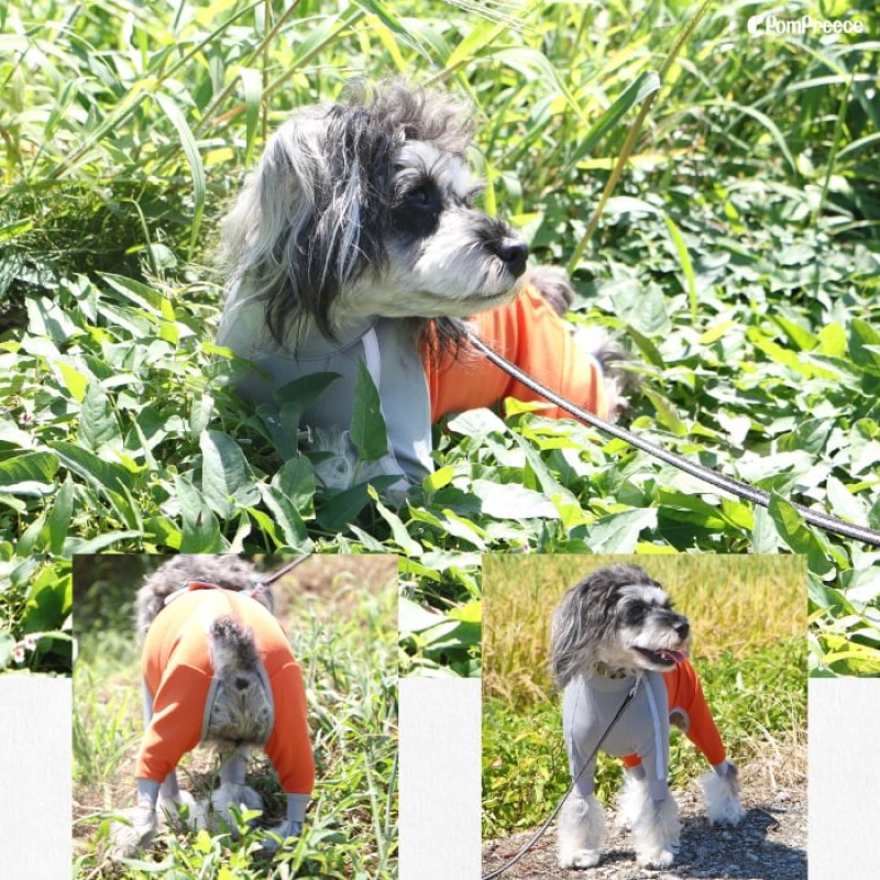 画像19: 【在庫処分セール品】 小型・中型犬用 アウトドア・レジャーフード付 スーパーストレッチコート【2〜5号】※返品交換不可 (19)