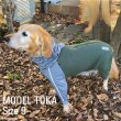 画像19: 【ポイント10倍で会員様はお得】  中・大型犬用アウトドア・レジャーフード付スーパーストレッチコート【6〜10号】※返品交換不可 (19)