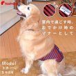 画像2: 【ポイント10倍で会員様はお得】 中大型犬用 マナーベルトメッシュストライプ 【8号・9号・10号】 (2)