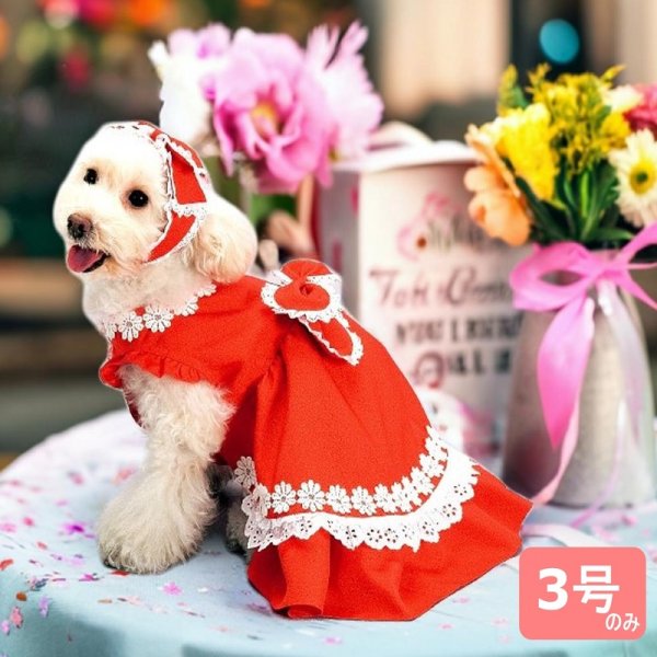 画像1: 【SALEでお得※在庫限りお早めに】フローラルパーティードレス 【 3号・赤のみ】【返品・交換不可】 (1)