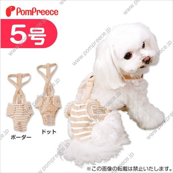 画像1: 【在庫処分セール品】ダイパー型サニタリーパンツフェアオーガニック 【5号】ボーダーのみ※返品交換不可 (1)