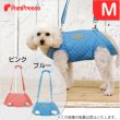 画像1: 【在庫処分セール品】サポート3WAYバッグテディキャリー　Ｍサイズ※ブルーのみ【返品不可】 (1)