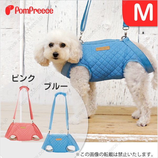 画像1: 【在庫処分セール品】サポート3WAYバッグテディキャリー　Ｍサイズ※ブルーのみ【返品不可】 (1)