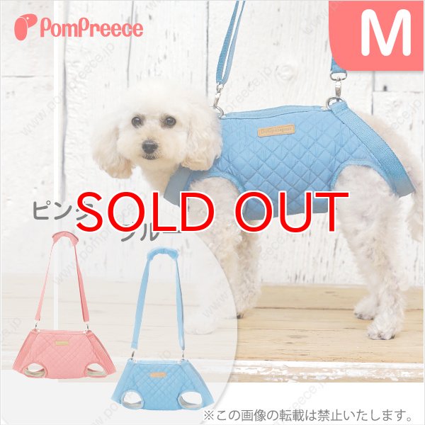 画像1: 【在庫処分セール品】サポート3WAYバッグテディキャリー　Ｍサイズ※ブルーのみ【返品不可】 (1)