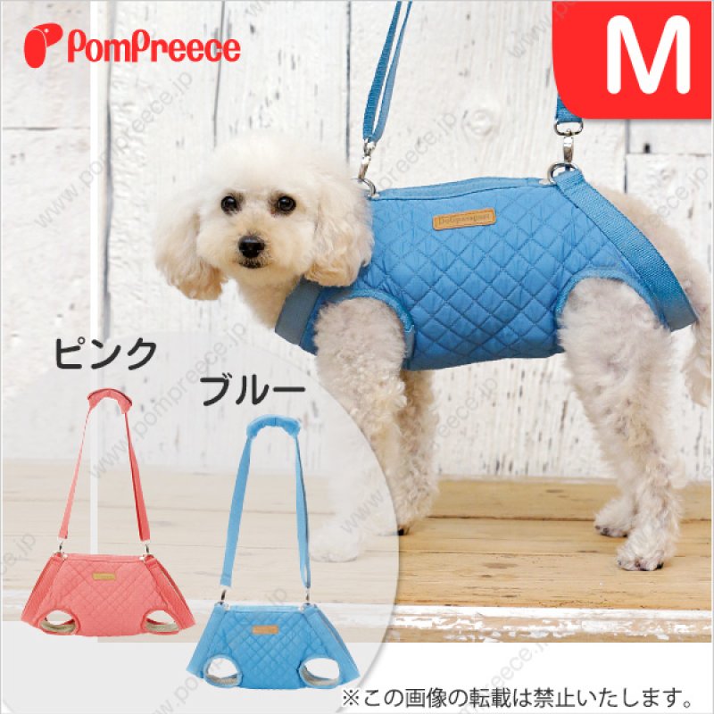 画像1: 【在庫処分セール品】サポート3WAYバッグテディキャリー　Ｍサイズ※ブルーのみ【返品不可】 (1)