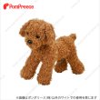 ポキポキマヌカン　1号　ティーカッププードル