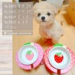 画像8: 【ポイント10倍で会員様はお得】 フードディッシュ イチゴ【小型】 (8)