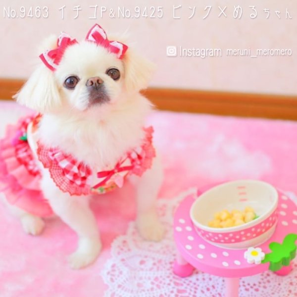 画像6: 【ポイント10倍で会員様はお得】 フードディッシュ イチゴ【小型】 (6)