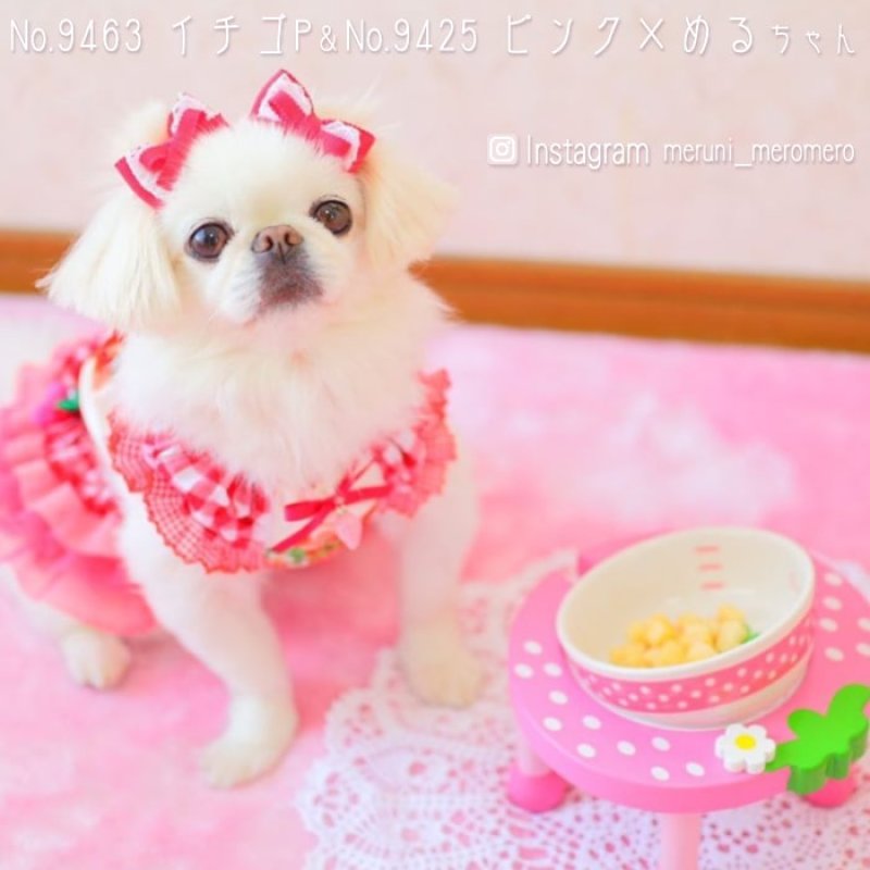 画像16: 小型犬用 木製 食器台 トロピカルフルーツ ※お皿は別売り (16)