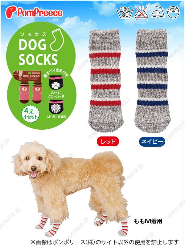 画像4: 犬用 ロングソックス 杢ボーダー 【S〜3L】 (4)