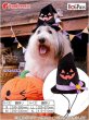 画像2: 【在庫処分セール品】 ハロウィン帽子 マジョッコハット【4L】※返品交換不可 (2)