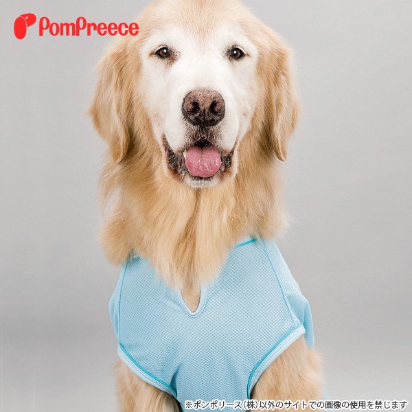 画像14: 【SALEでお得※在庫限りお早めに】お散歩用 中型犬・大型犬用 防虫メッシュTシャツ 【6〜10号】※返品交換不可 (14)