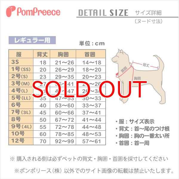 画像9: 【SALEでお得※在庫限りお早めに】レーストリミング 襟付き サマーワンピ 【1〜4号】 (9)